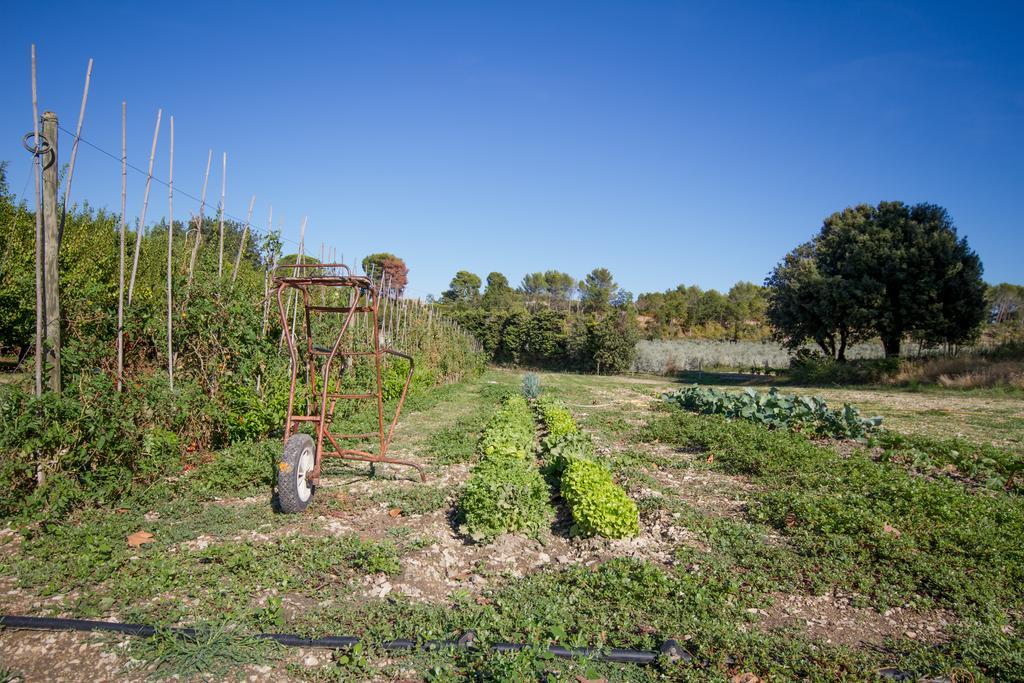Les Residences De Metifiot Saint-Rémy-de-Provence Exteriér fotografie