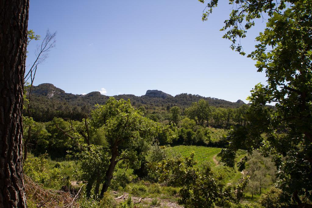 Les Residences De Metifiot Saint-Rémy-de-Provence Exteriér fotografie